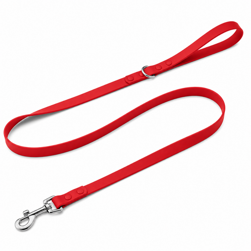 Matching leash