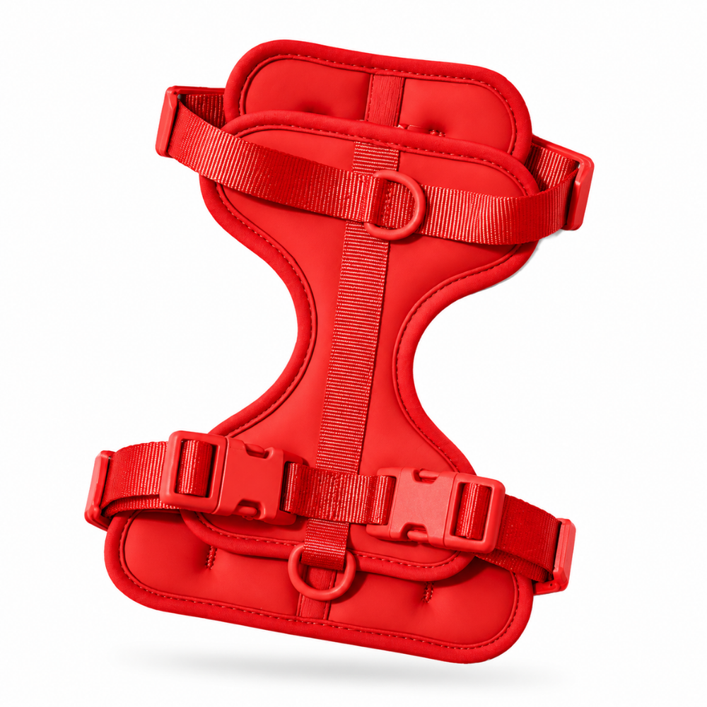 Red Small Dog Harness