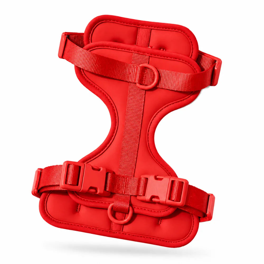 Harnais rouge pour petit chien